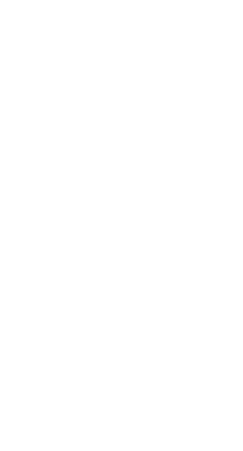 white-flower-3